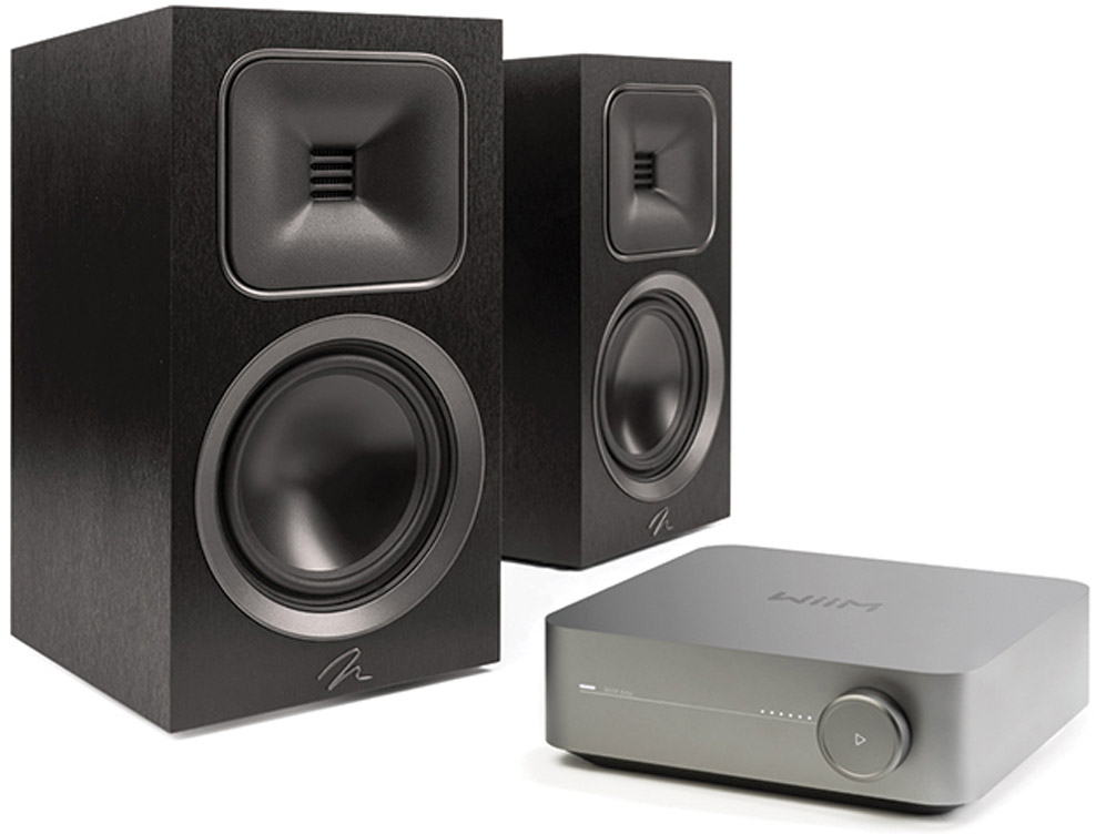 Wiim Amp + Martin Logan Foundation B1
